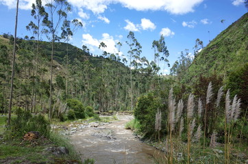 Fototapeta na wymiar The River Toachi runs through the Ecuadorian Andes on the Quilotoa Loop hike