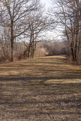 Walking path through wetlands in New England park