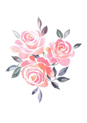 Blooming rose. Decorative isolated bouquet with pink roses. Watercolor background.