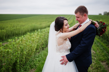 Attractive young wedding couple posing on the blackcurrant field on their wedding day.