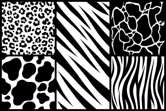 Print set texture animal skin pattern background african tiger zebra giraffe cheetah cow jaguar