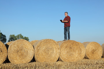 Naklejka na ściany i meble Farmer or agronomist in wheat field after harvest examining bale, rolled straw, using tablet