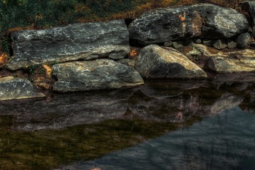 Kensington Reflections