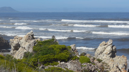 Fototapeta na wymiar Hermanus, Südafrika. Wandern Sie den Cliff Path entlang zum Grotto Beach und genießen Sie die Aussicht. 