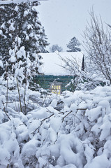 Russian lone wooden house lost among trees, bushes and snowdrifts under snowfall, window glowing