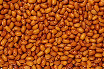 Whole Grains. Top View of Healthy grain foods. Full Frame Texture. Beans.
