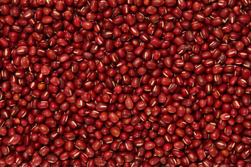 Whole Grains. Top View of Healthy grain foods. Full Frame Texture. Beans.