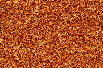 Whole Grains. Top View of Healthy grain foods. Full Frame Texture. Rice.