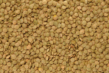 Whole Grains. Top View of Healthy grain foods. Full Frame Texture. Lentils.