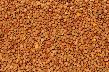 Whole Grains. Top View of Healthy grain foods. Full Frame Texture. Beans.