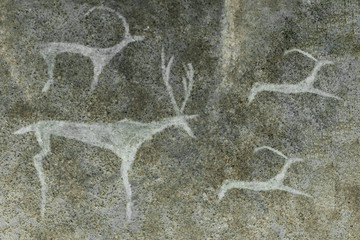 images of animals on the wall of the cave. Ancient people. archeology.