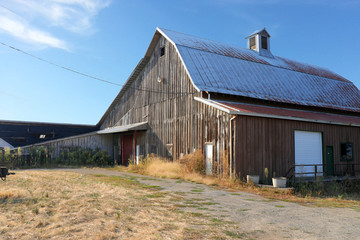 Obraz premium Old barn