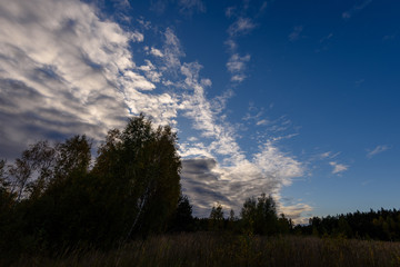 Obraz premium autumn colored trees in the park