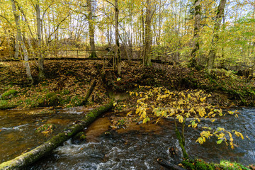 mountain river in autumn