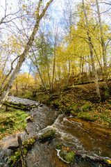 mountain river in autumn