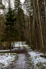 winter rural scene with road and sign showing direction