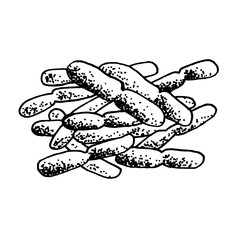 Vector black sketch bacteria isolated on white backgtound. Microbe in medical therapy. Germ illness element. Hand painted bacterium for medicine concept.