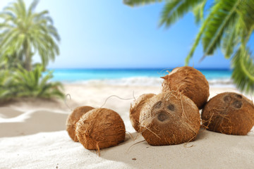 coconuts on the beach with a place for milk or cream  
