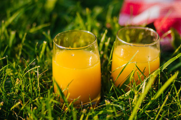 Two glasses of orange juice stand in the grass. Glass mugs on the grass with straws