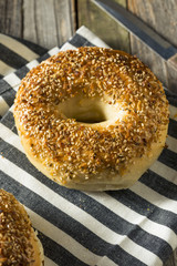 Round Warm Everything Bagels