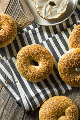 Round Warm Everything Bagels