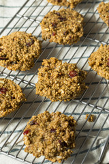 Vegan Healthy Breakfast Cookies