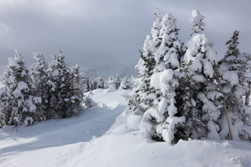 Skigebiet Banff in Kanada