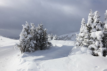 Skigebiet Banff in Kanada