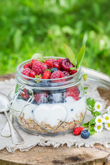 Closeup of granola with berry fruits and yogurt in garden