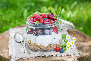 Sweet muesli with berry fruits and yogurt in garden