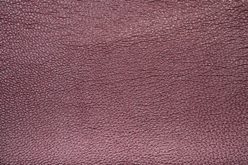Seamless exture of a surface from a natural skin of red color. Close-up view.