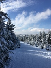 Brocken, Schnee, Ausblick, Tourismus, Harz, Winter, Wandern, Langlauf