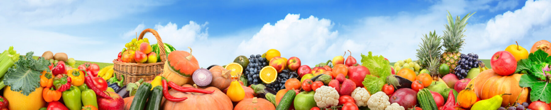 Panorama fruits and vegetables against background green field and bright sky.