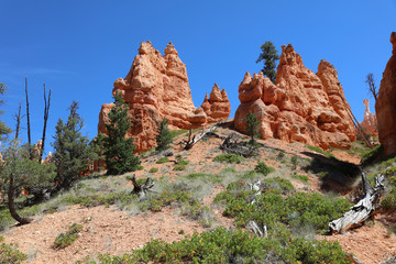 Rock Hoodoos in Bryce Canyon National Park in Utah. USA