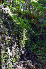 Waterfall in Australian National Park