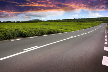 The road through tea plantations on Mauritius..