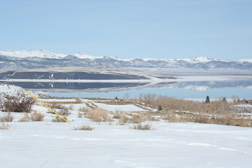 Fototapeta na wymiar Mono Lake in Winter