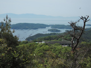 Fototapeta na wymiar 日本の山の風景