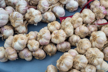 Lot of garlic in the street farm market