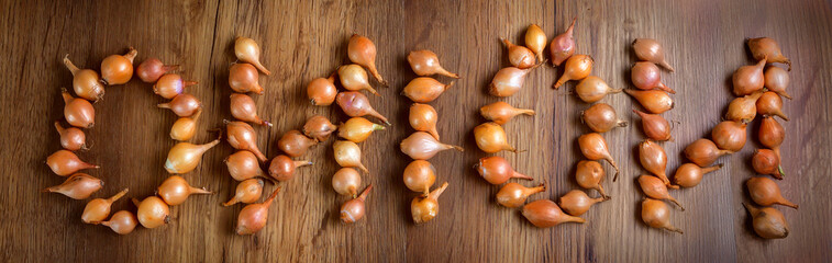 Fresh onions. Onions background. top view,