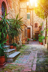 Fototapeta na wymiar Alley in Italian old town, Tuscany, Italy