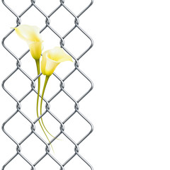 Rabitz fence with realistic yellow calla lily as left border, pattern.