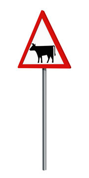 Deutsches Verkehrszeichen: Viehtrieb, auf weiß isoliert, 3d render