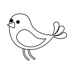 Obraz premium cute bird animal wildlife image vector illustration outline image