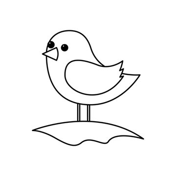 cute bird standing in the field cartoon vector illustration outline image