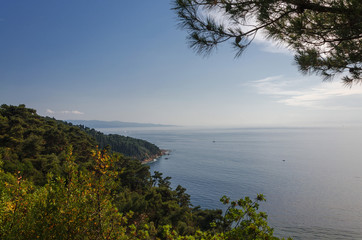 view of Istanbul and the sea from Buyukada island, on top of Buyukada island-part of the Prince Islands-in Turkey.