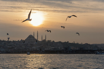 Fototapeta na wymiar Istanbul cityscape with boats and Suleymaniye Mosque, Turkey.