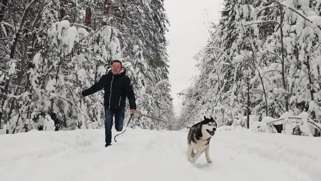 In the winter forest, a man in a black jacket and jeans runs with a Siberian husky dog, a slow-motion shot. Pine fir forest, a merry walk with a dog. Slow motion