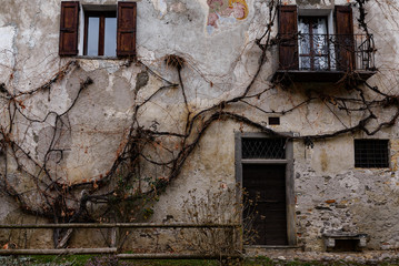Old house with roots on the walls