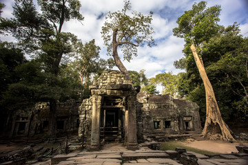 Obraz premium Siem Reap Angkor Wat Ta Prohm Tomb Raider movie location